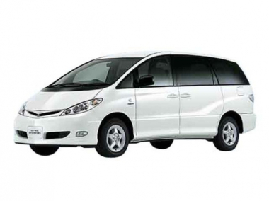 Коврики из экокожи 3D Toyota Estima II (2000-2006) 7 мест (2 ряд капитанские)*