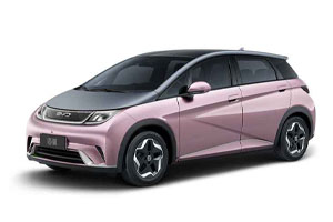 Коврики из экокожи 3D  BYD Dolphin 2021-н.в